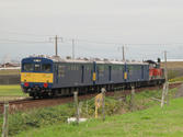 IMG_5272.JPG