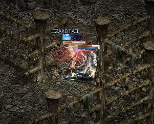 79f95e36.jpeg