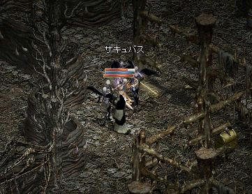 c7fff9b4.jpeg