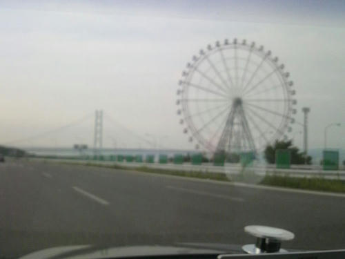 010.jpg