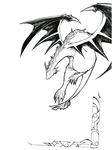 西のドラゴン
