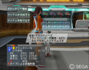 psu_100128l.jpg