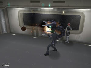 psu201110104_34.jpg