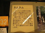 P1010215.JPG