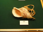 P1010224.JPG