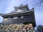 P1010231.JPG