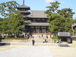 P1010270.JPG