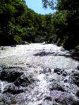Image190.jpg