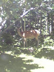 Image199.jpg