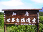 Image203.jpg