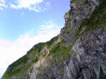Image229.jpg