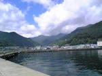 Image256.jpg