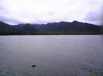 Image362.jpg