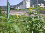 e75204f6.jpg