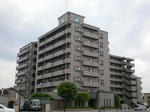 4156577e.jpg