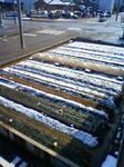 201003300907001.jpg