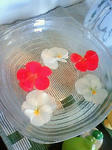 201006111322000.jpg