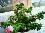 201009121727000.jpg