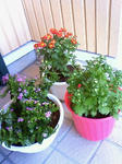 201009141036000.jpg