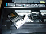 EPhead_2.jpg