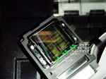 EPhead_3.jpg