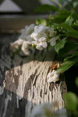 1IMG_3765.png