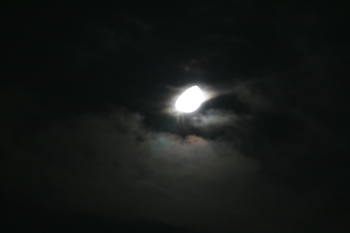 1IMG_3581.png