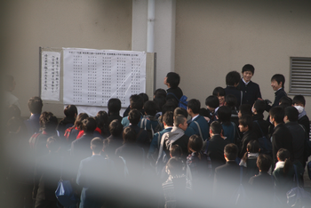 1IMG_4301.png