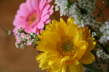 1IMG_4472.png