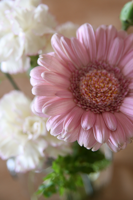 1IMG_4829.png