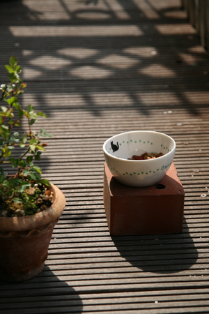 1IMG_4869_1.png