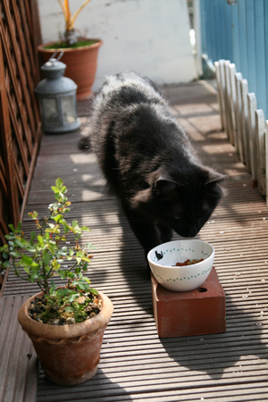 1IMG_4861_3.png