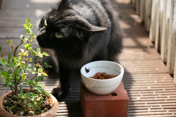 1IMG_4846_5.png