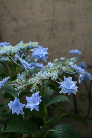 1IMG_5327.png