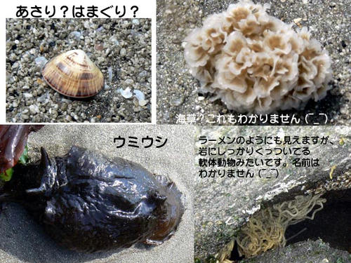 自由研究