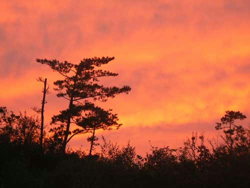 夕焼け