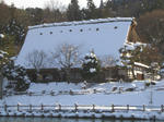 8efde84c.jpg