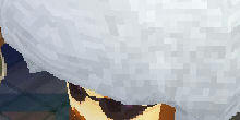 aa8d5fbe.jpeg
