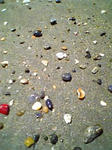 DVC00055.jpg