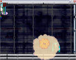 d84d032cjpeg