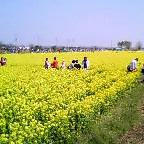 20050417_1008_001.jpg