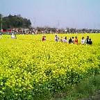 20050417_1008_000.jpg