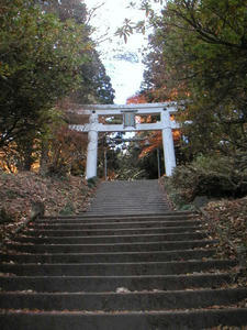 画像: 宝登山神社 奥宮 とりい
