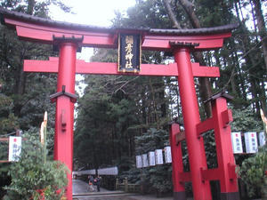 画像：弥彦神社　鳥居