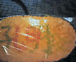 070805_senbei2.jpg