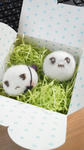 mochi0207-1.jpg