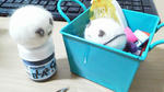 mochi0207-3.jpg