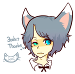 r015.png