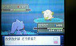 ラッキー「あーたなんの用よ！！！」