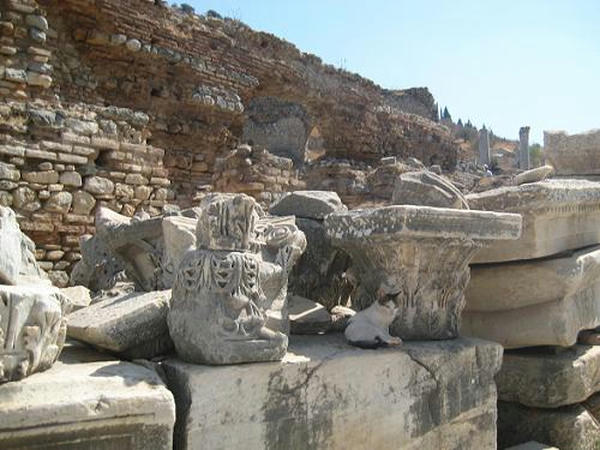 ☆The Greek Cats☆Οι Ελληνόγατες☆ギリシャの猫☆ 写真無断転用転載禁止agapi.blog.shinobi.jp
